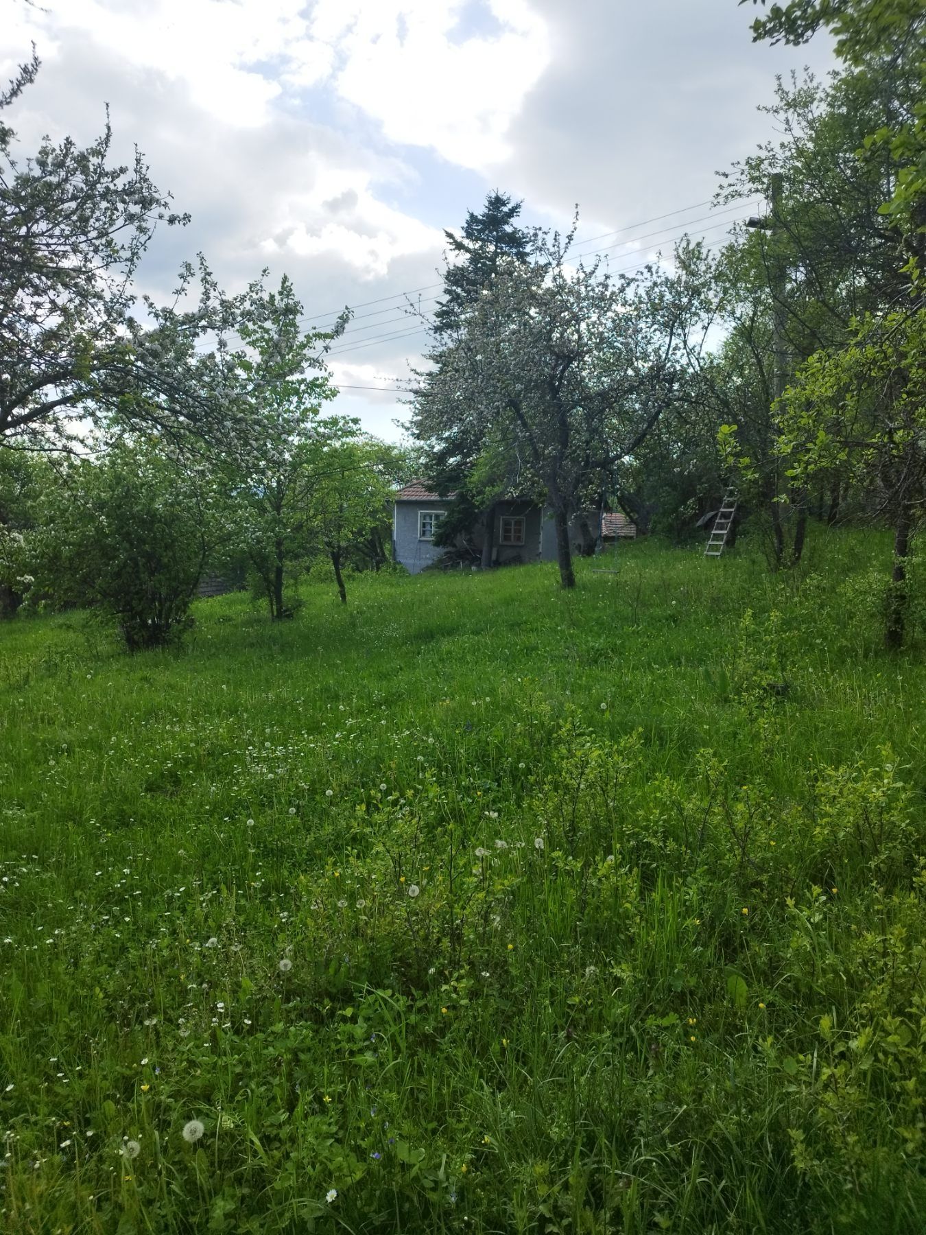 Къща в с. Лесков дол