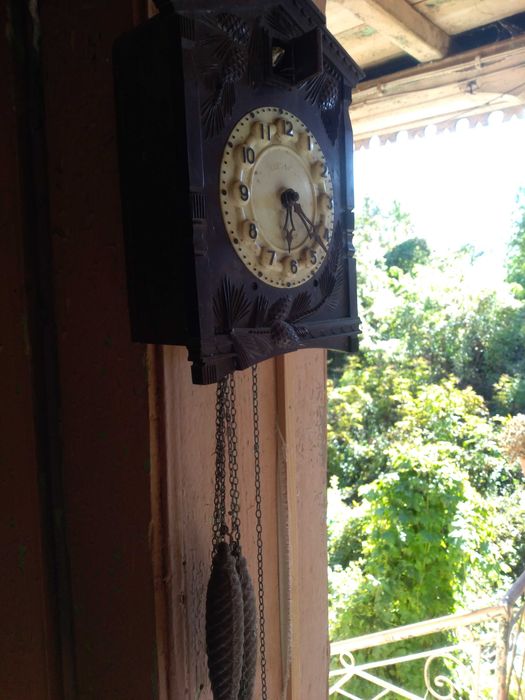 Часовник с кукувица