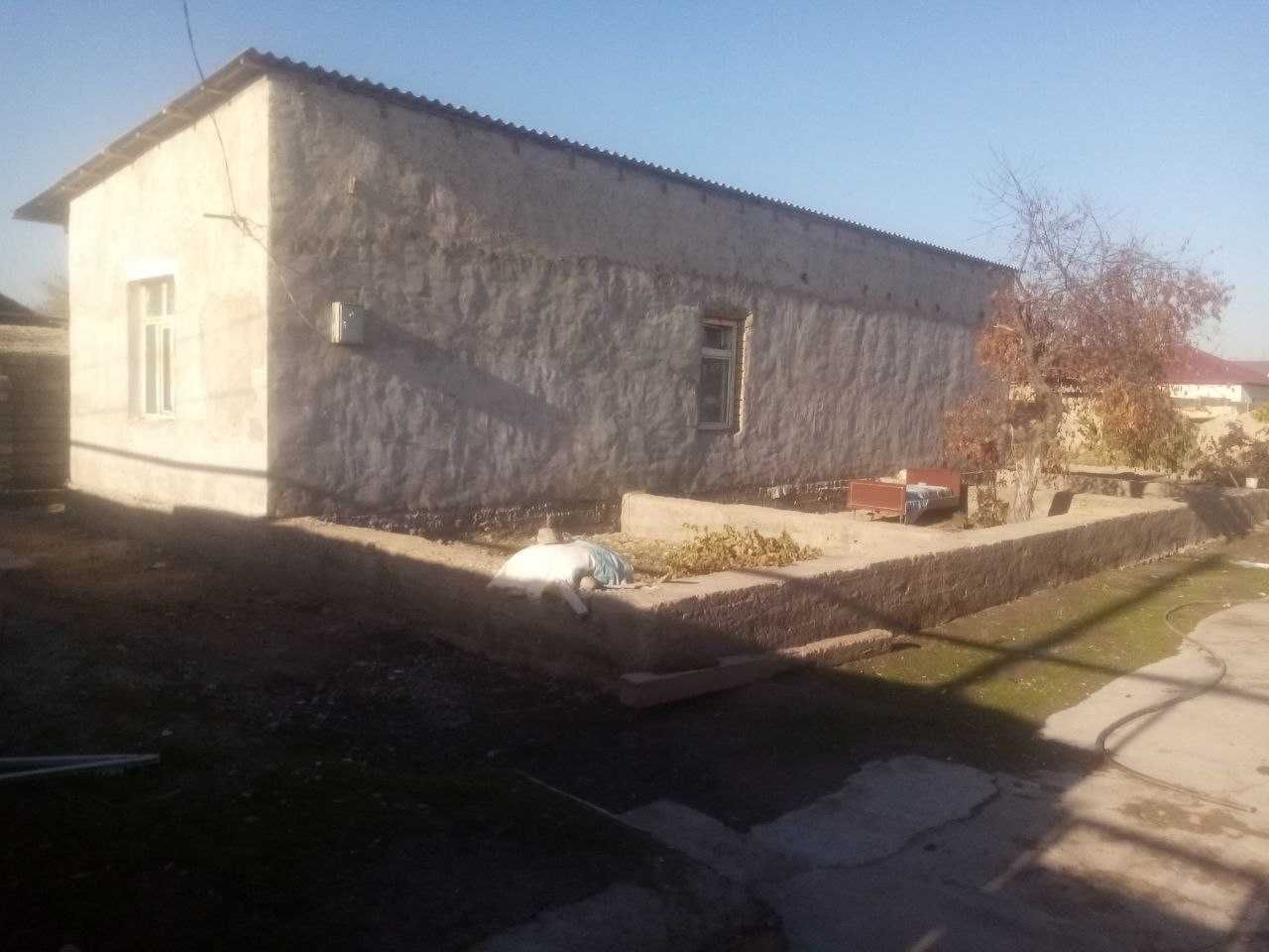 O'RTACHIRCHIQ tuman KIYROVDA Xalqobod MFY 6 sotixli Xovli sotiladi 25$