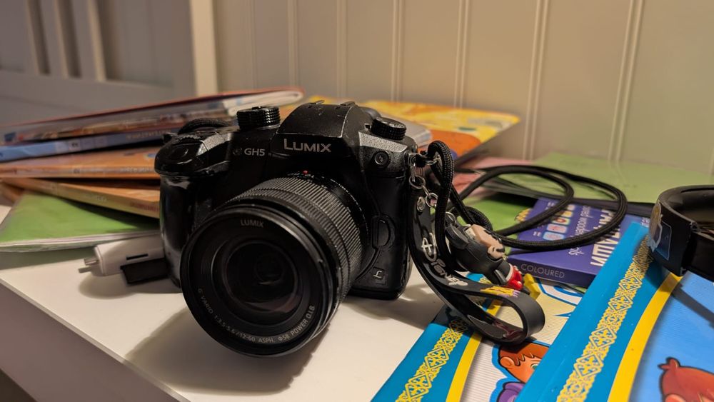 Фотоаппарат panasonic gh 5