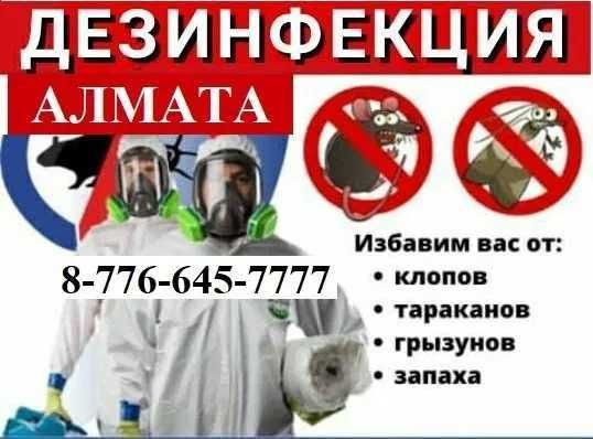 Уничтожение мышей крыс таракан клоп блох клещей Обработка № 02112