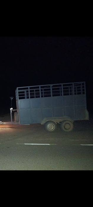 Прицеп для авто с документами