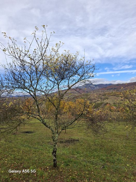 URGENT .Teren de vanzare Berislavesti