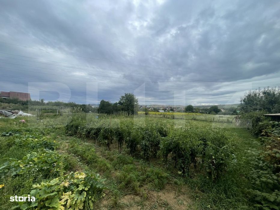 Teren intravilan in doar 10m de la DN17 – perfect pentru casa