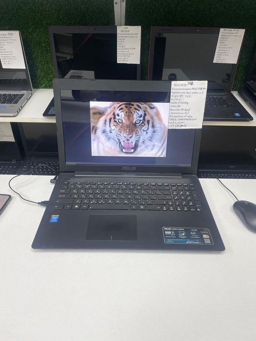 Проверенные ноутбуки+гарантия Бюджетный офисный ноутбук Asus Pentium