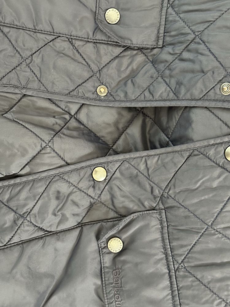 Geaca matlasata Barbour