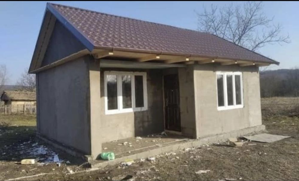 Vand case din lemn si pe structura metalica