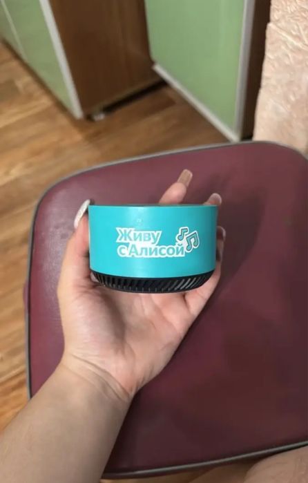 Колонка/станция Алиса