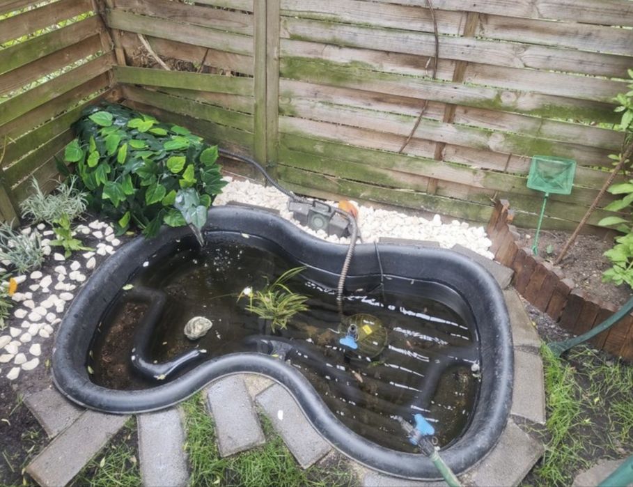 Iaz de gradina ornamental pond