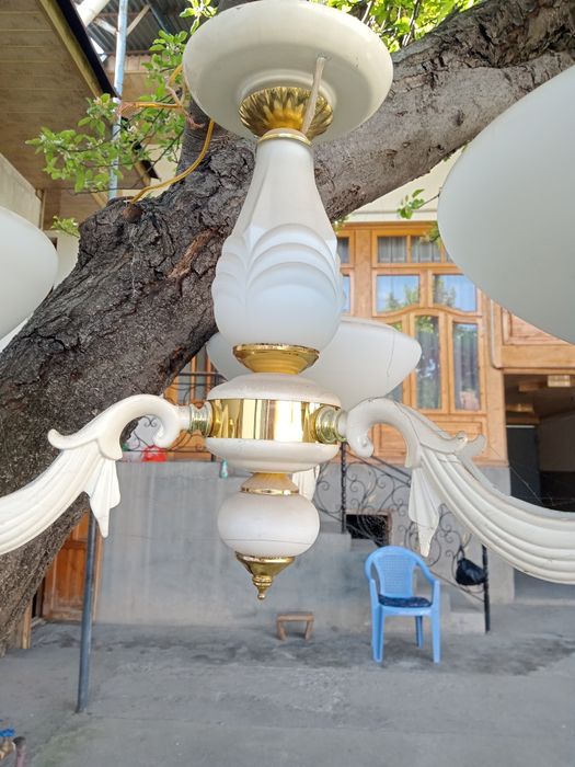 Луюстира сотилади холати яхши синмаган бутун