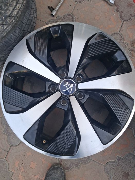 19 buvaydi dona diska