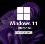 Stick USB 64G rapid pt instalare WIN11 OEM + cheie activare autentica!