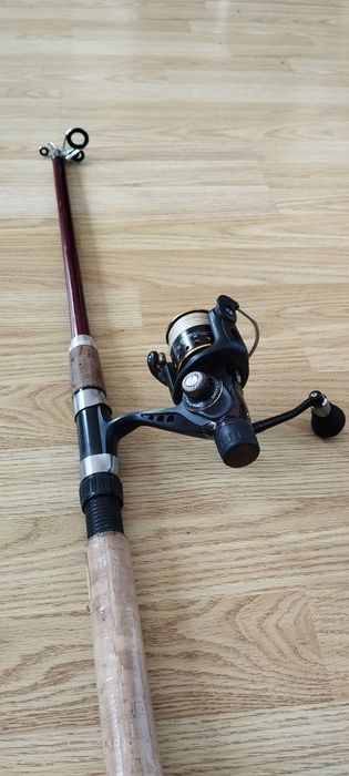 Balzer mini spin TelePowePro+Cormoran black master 8Pi-2000