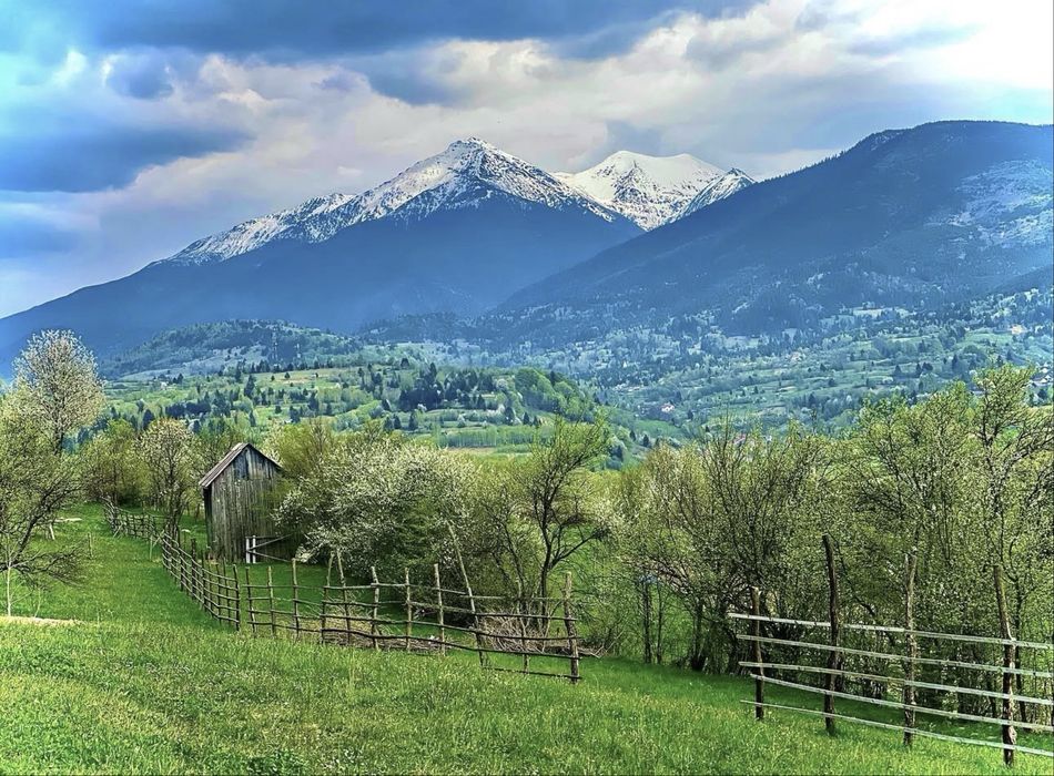 Teren de vazare pentru casa/cabana - Moisei ( Maramures)
