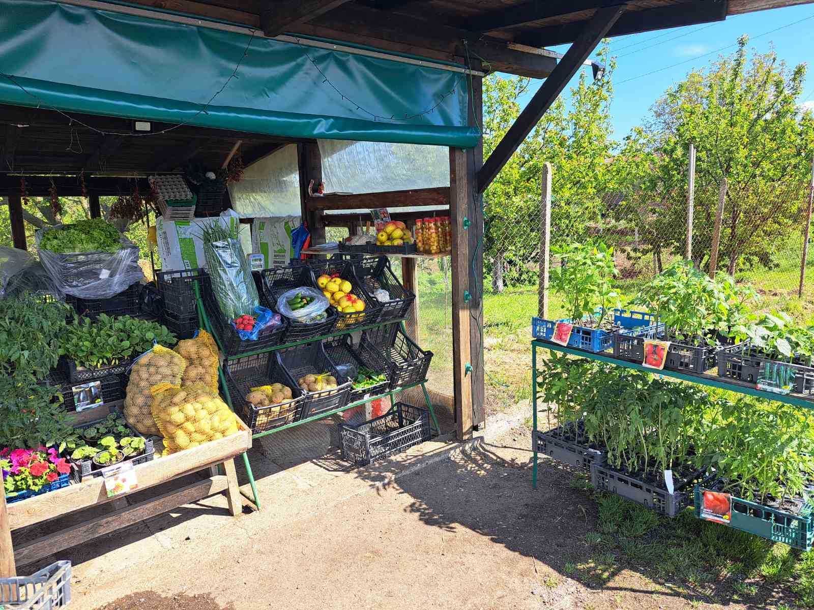 Продавам разработен бизнес за производство и търговия  на главен път