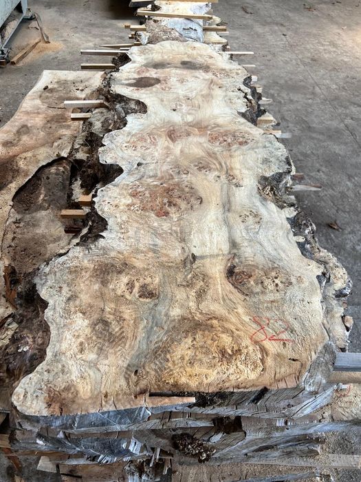 Blaturi masive lemn nuc, stejar,ulm