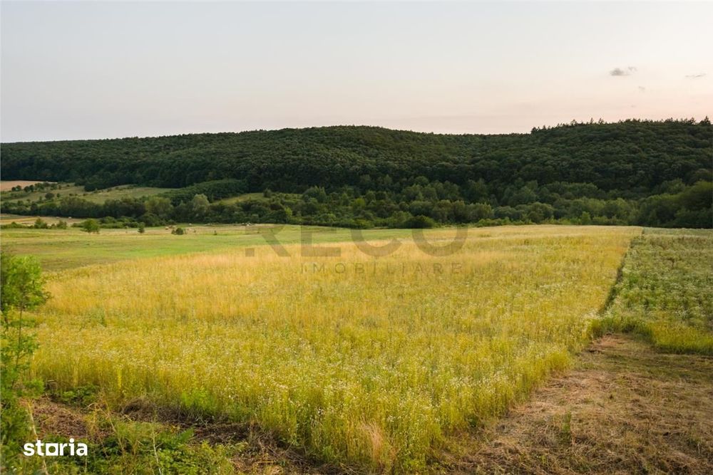 RECO Teren extravilan 11500 mp -Lazareni