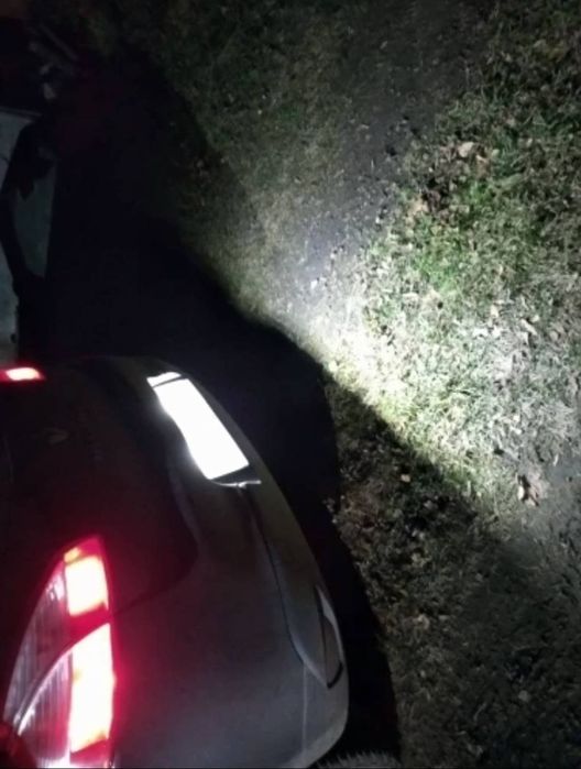 Lampi LED numar dedicate Canbus Clio Logan 2 Megane Twingo Master