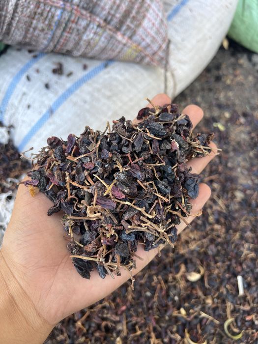 Yem qoy va mollar uchun yemish