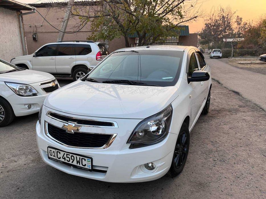 Cobalt Midnight LTZ 2025