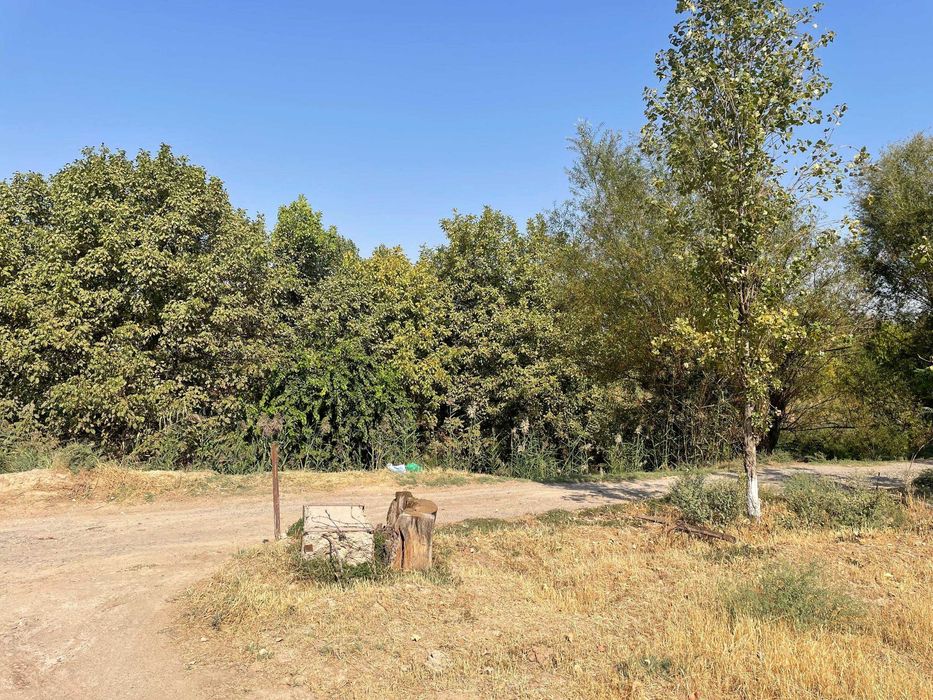 5 сотих ер Тинчлик Куштепада, Нархи 17000.