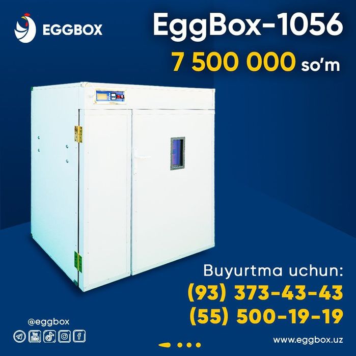 Inkubator инкубатор