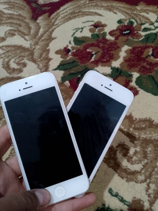 Iphone 5 va 5s pastini õqib keyin aloqaga chiqingla