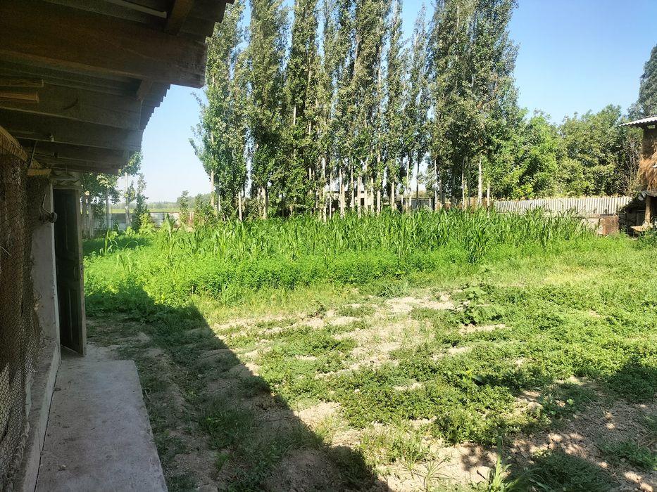 Уй сотилади 13 соток