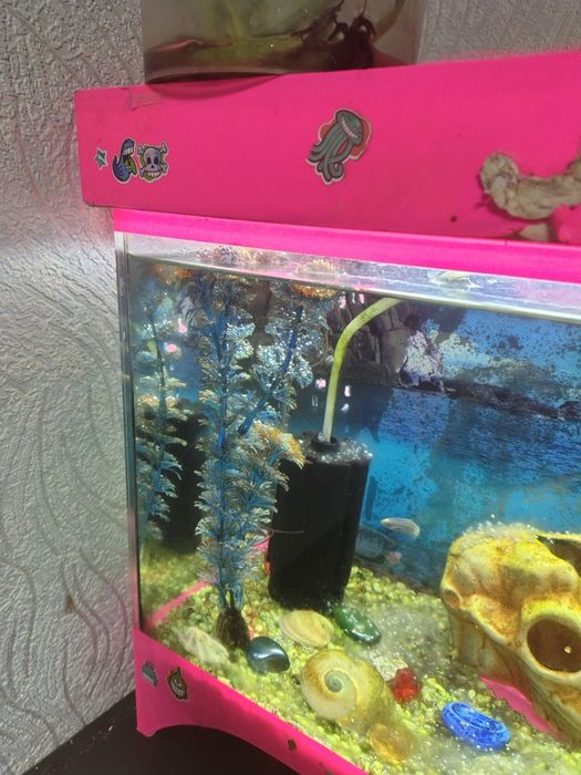 Продам аквариум срочно