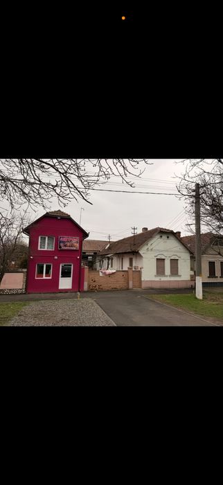 Dau in chirie casa pe Calea Timisorii