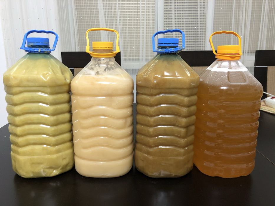 Мёд ВКО оптом 1700 в Астане