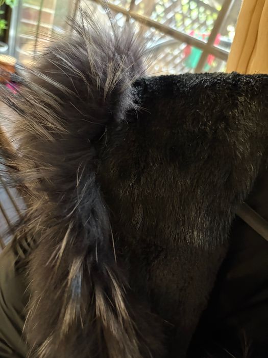 Haină din piele ușor matlasata cu blană matirala