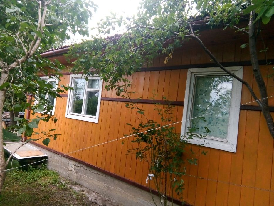 livada de pruni cu constructie in salaj