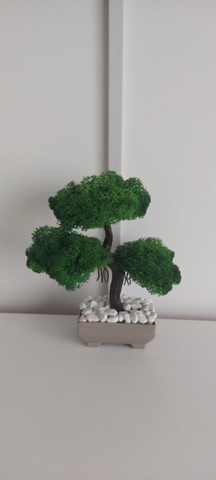 Bonsai din licheni