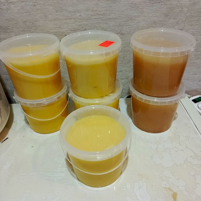 Продам свежий мед с Усть- Каменогорска