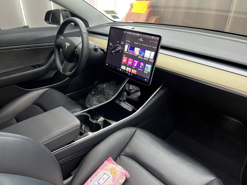 Tesla model 3 dual