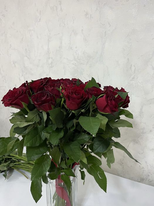 красный роза, актобе, 31 роза
