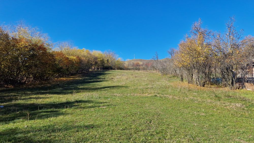 Vând teren intravilan 8000 m²