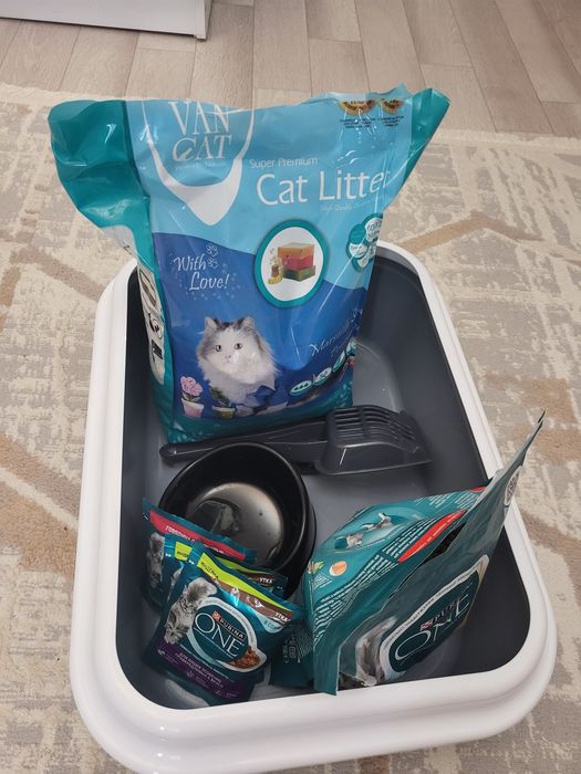 Лоток, корм, наполнитель, миска, лопаточка