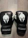 Vand manusi de box, personalizate, 14OZ si 16OZ