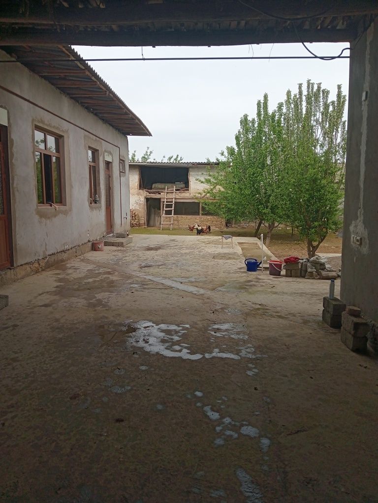 Tolibjonsaidov74