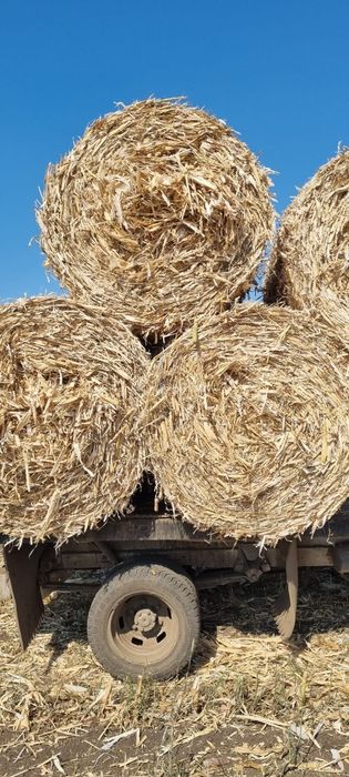 Baloti coceni de vanzare