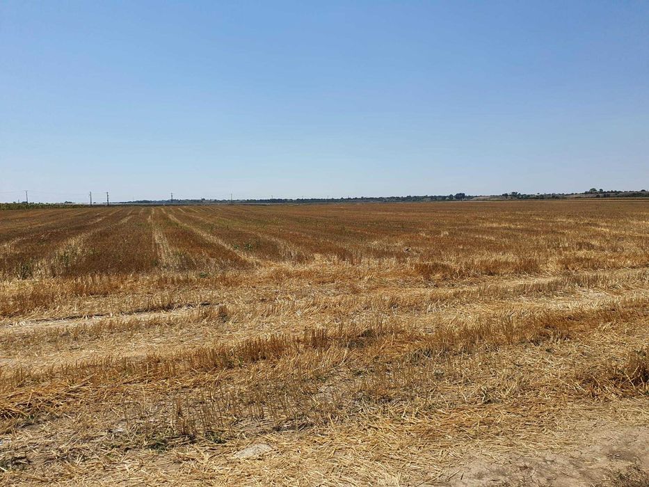 Teren extravilan 11 425 mp in Slatioara (Olt), la DE Craiova-Pitesti