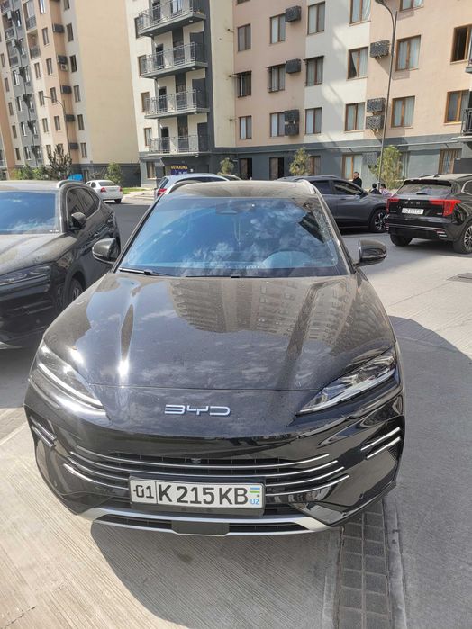Byd champion hybrid 150 km