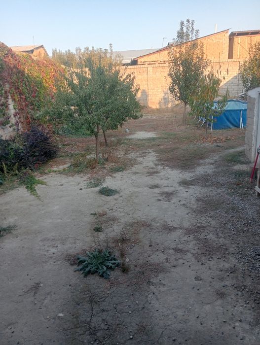 Маданиятда 5сотоклик Уй сотилади