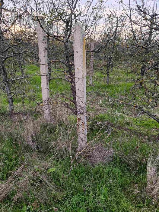 Циментови колове