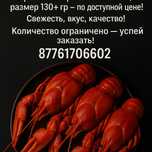 Раки живые всех градаций