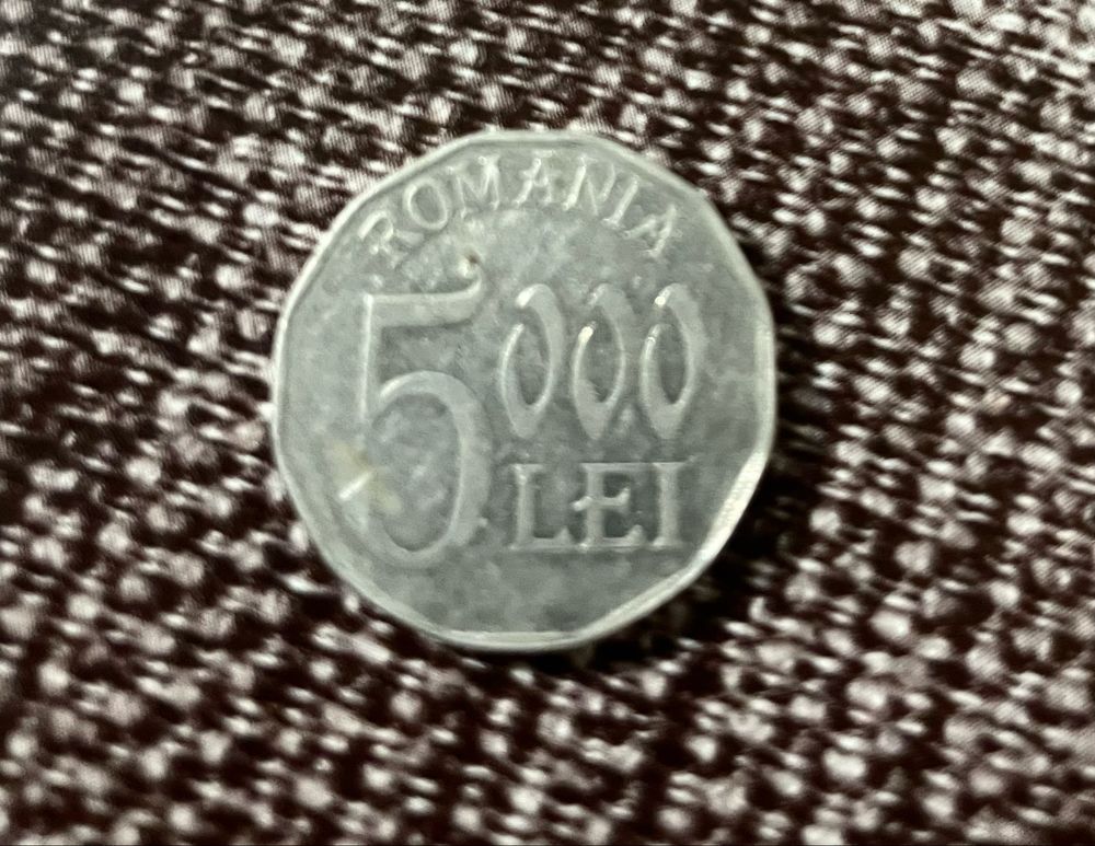 Moneda 5000 lei an 2004