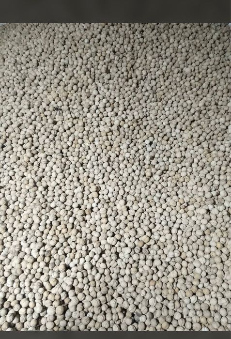 Грецкие орехи свежи уражай любой обем доставка по Кз