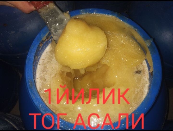 Тоза тог асали матични малачка гулчанги праполиц